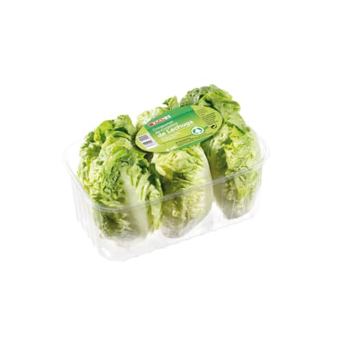 CORAZONES DE COGOLLOS DE LECHUGA SPAR 6 UDS.