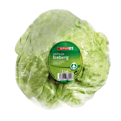 LECHUGA ICEBERG SPAR