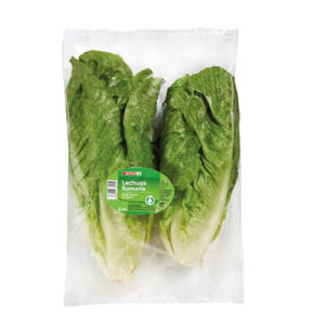 LECHUGA ROMANA